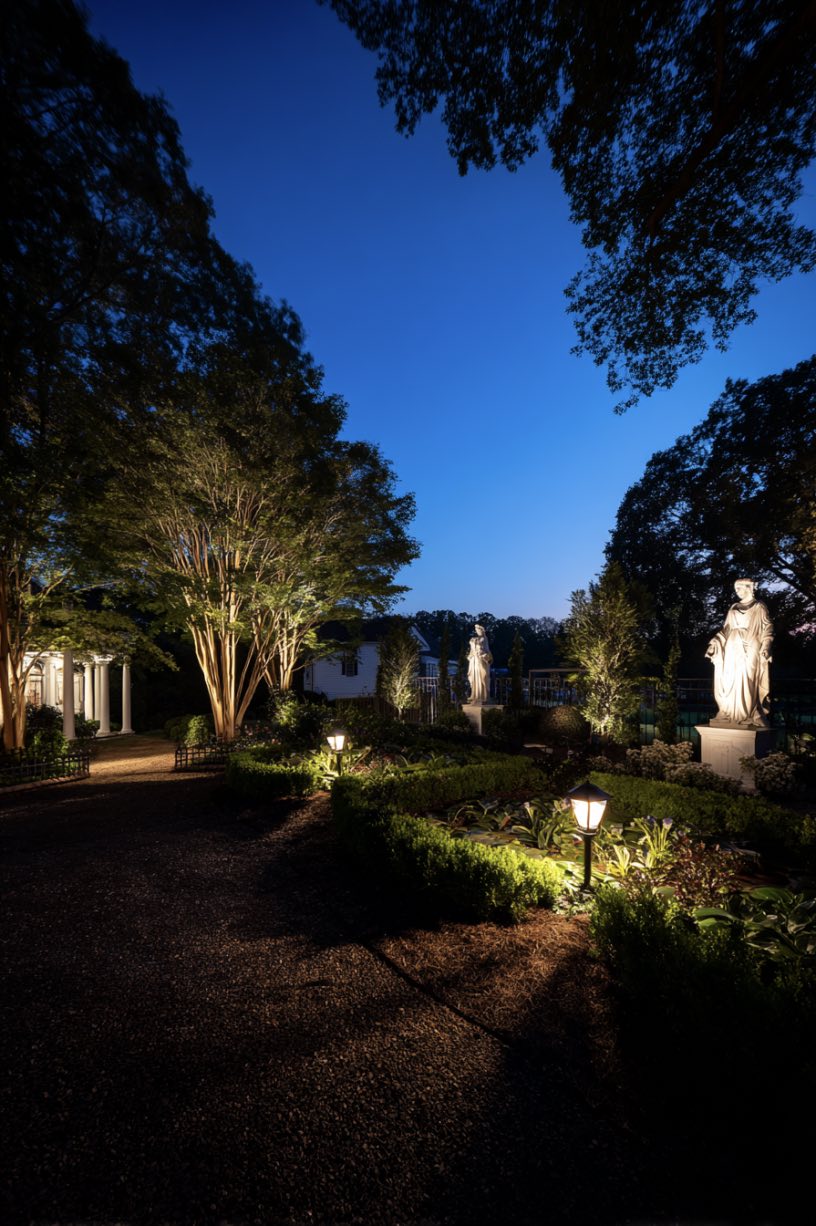 Evening Elegance in the Garden