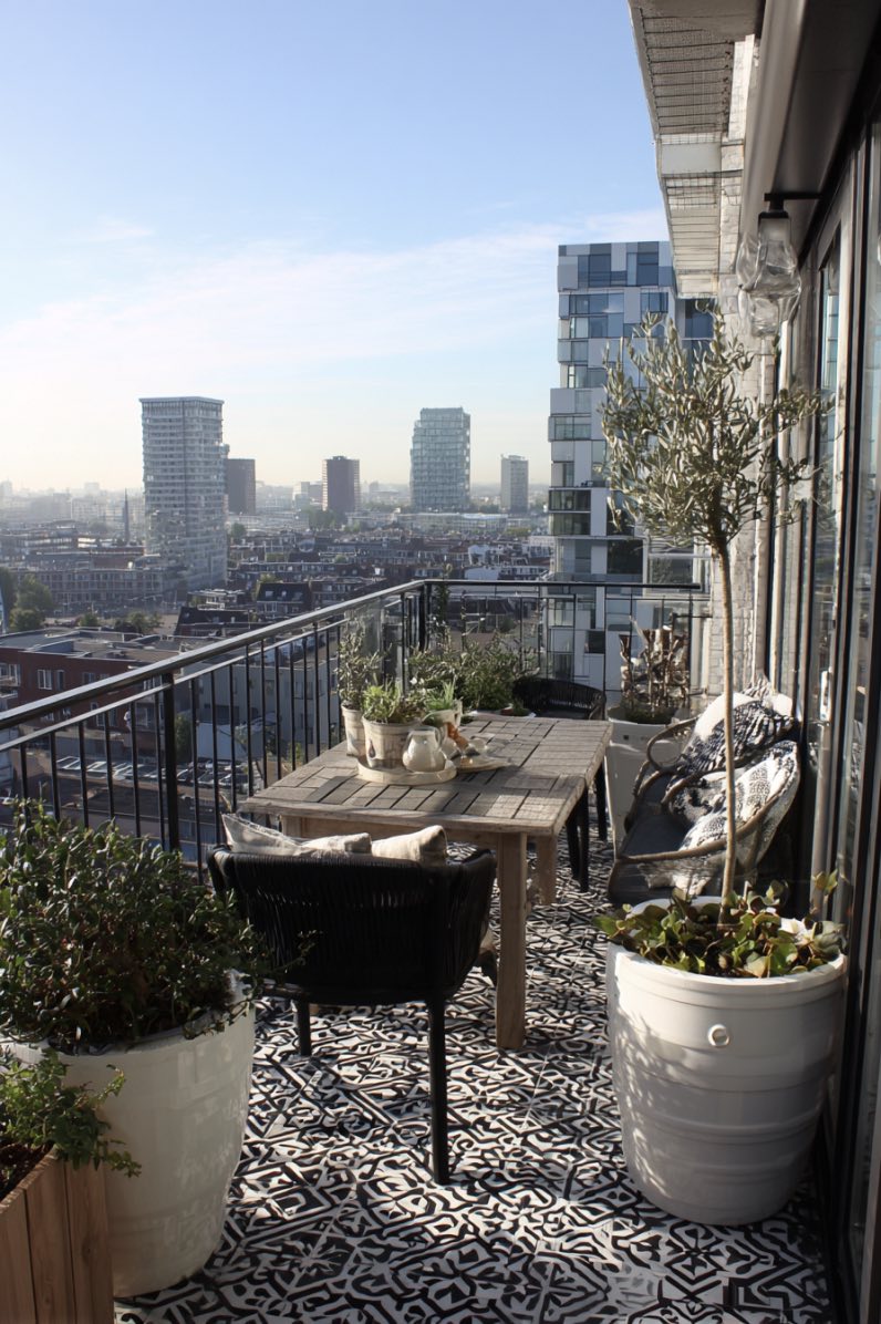 Monochrome Terrace with a City View