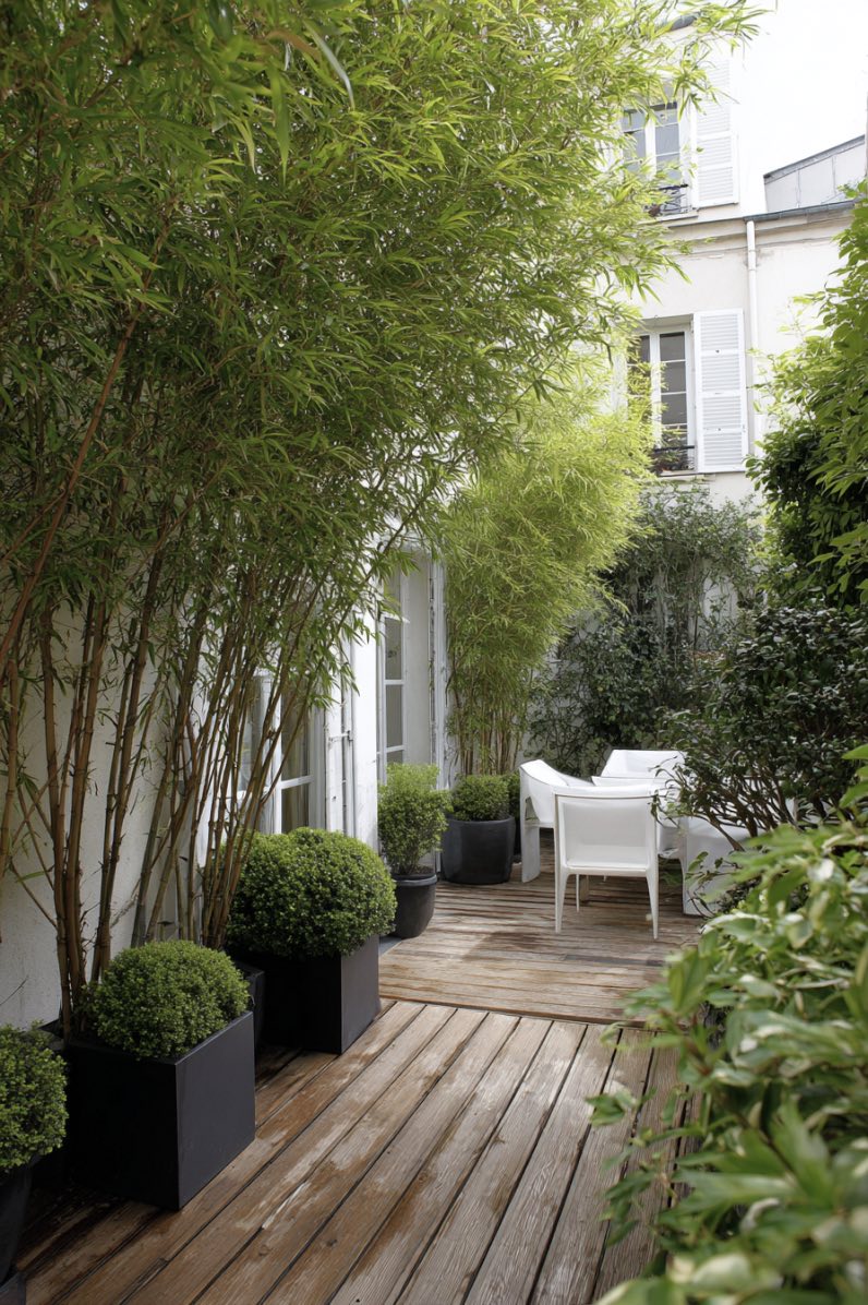 Boxwood Touches in French Chic Garden